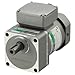 Single-Phase 220/230 VAC, 60 or 50 Hz, 90 W (1/8 HP) AC Gear Motor (Motor with 5:1 Gearhead)