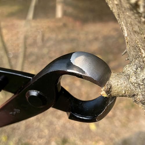 Cortador de bordes cóncavos de acero al carbono para bonsái y ramas de jardín 8