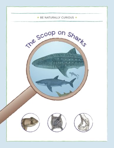 The Scoop on Sharks