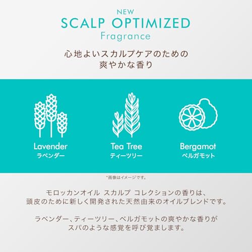 MOROCCANOIL (モロッカンオイル) モロッカンオイル ピュリファイング スクラブ (チューブタイプ / 125ml) の商品画像 5