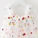Toddler Girls Cute Tulle Embroidered Summer Dress Loose Sleeveless Kids A-Line Layered Swing Party Dresses for 1-7 Years