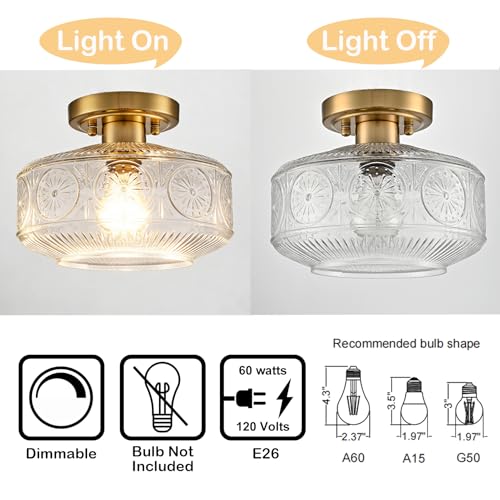Image of DAYCENT Gold Semi Flush Mount Light 9-Inch Clear Glass Light Fixtures