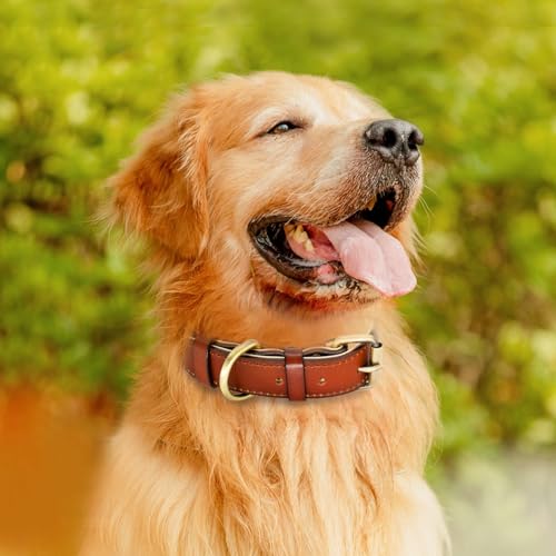 Dote on Leather Dog Collar and Lead Set Adjustable Genuine Soft Leather Dog Collar of Padded for Small Medium Large Dogs(Brown, S) - Image 2
