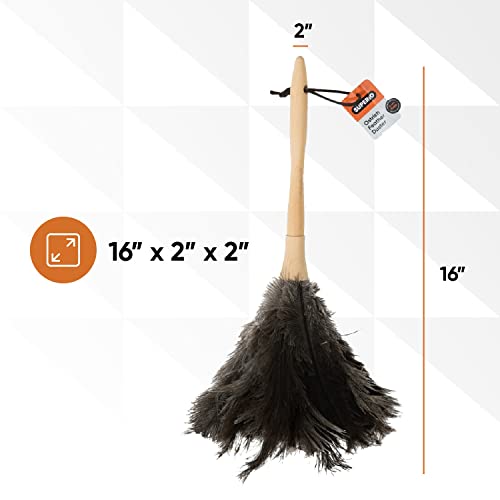 Image of Superio Ostrich Feather Duster Fluffy Dust Remover, with Wooden Handle Reusable for Cleaning Homes, Ceilings, and Furniture (3 Pack) (3 Pack)