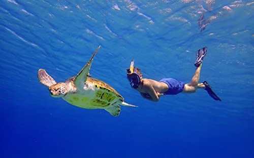 Ocean Reef - Aria Qr + Quick Release Snorkeling Mask - Full Face Snorkeling Mask - 180 Degree Underwater Vision - 5 Colors And 3 Sizes - Black Color - Size S/M #TOP4