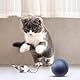 DAWRIS Interaktives Katzenball Spielzeug, Katzen Ball Elektrisch Katzenspielzeug Katze Katzenball Chewie Rolling Ball, Interaktives Hunde
