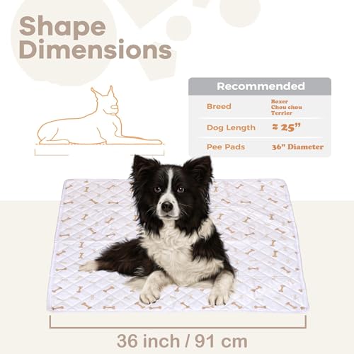 Image of Meow&Woof Reusable Puppy Pads - Washable Pee Pads for Dogs 100% Waterproof Square Playpen Mat, Super Absorbent and Durable Reusable Pee Pads for Dogs 36 Inch 1 Pack
