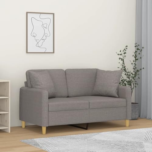 Sofá de 2 plazas de tela moderna y estructura de metal de 138 cm con cojín decorativo 3