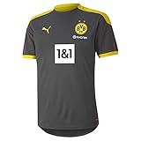 Men PUMA Herren BVB Training Jersey New T-Shirt, Asphalt-Cyber Yellow, L
