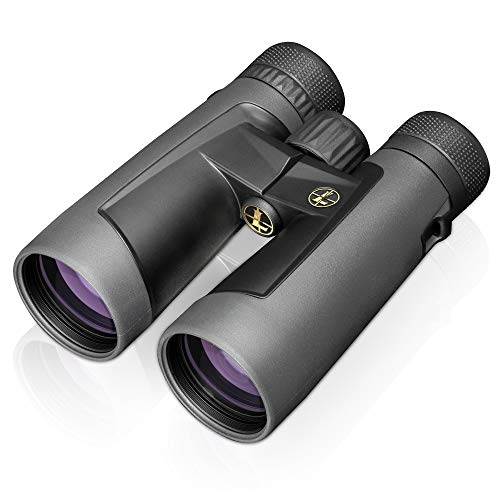 Preisvergleich Produktbild Leupold BX-2 Alpine Binocular