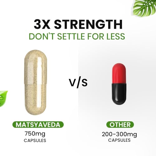 Image of Matsyaveda Herbals Livexo Liver Support Capsules|Made with Kutki and Harad|Helps Maintain Healthy Appetite and Digestion, Ayurvedic| Pack of 1 X 60 Capsules