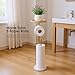 Standing Toilet Paper Holder Gold with 7.9