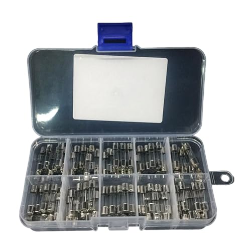 Saddgo Juego de 100 tubos de vidrio de 5 x 20 mm, 0,5 A-20 A, tubos de vidrio lentos, fusibles finos, juego de fusibles de vidrio para seguridad eléctrica en el hogar