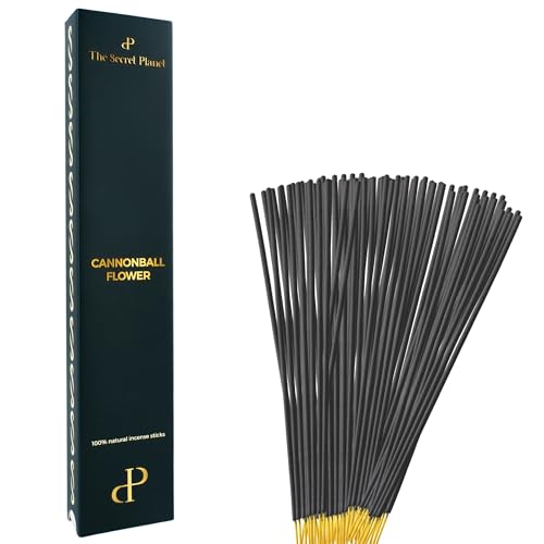 THE SECRET PLANET - Incienso Natural sin tóxicos. 80 Minutos por Incienso. 40 Varillas Premium por Caja para Quemador. 4 Aromas de sahumerio Disponibles. (Flor de Cannonball)