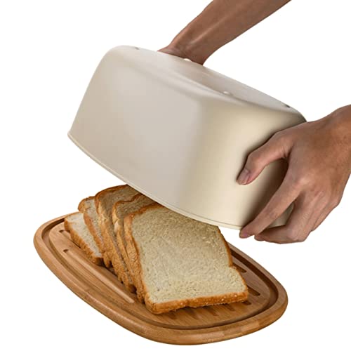 LIOONS Correa de reloj única exquisita, varios colores, resina de TPU, correa de reequipamiento, correa de repuesto, accesorios de alta gama, fáciles de llevar, 5600