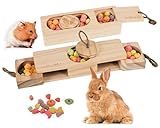 SoulThink® Advanced Interactive Wooden Pet Rabbit Toys - Sniff n' Snack Bunny Chew Toys for Rabbit Treats, Suited for Chinchilla Foraging, Guinea Pigs Boredom, and Hamster Enrichment (2 Set)