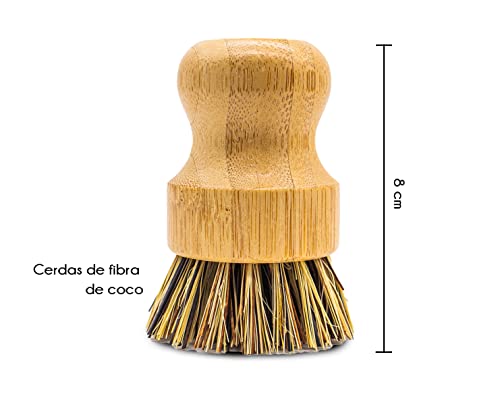 Escobetas de cerdas de PET 2 Imagen adicional