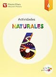 matematicas aula activa vicens vives  Naturales 6 Actividades (aula Activa) - 9788468228099
