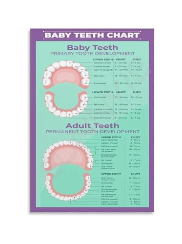 Évolution dentaire poster éducatif en toile pour décoration de chambre bébé