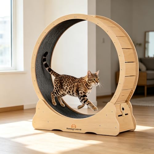 Homegroove Cat Exercise Wheel for Indoor Cats, 46' Large XL Cat Running Treadmill Wheel with Carpeted Runway for Kitty’s Longer Life, Natural Wood Color(XL)