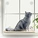 PETPAWJOY Cat Window Perch, Strong Suction Cups Easy Clean Safety Cat Hammock Window Seat for Large Fat Cat or Double Cats
