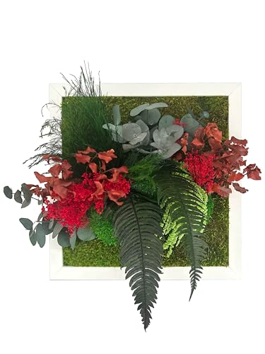 Végétal Indoor Tableau Végétal Stabilisé Red Forest, 30 x 30 cm, Cadre Blanc, Composition Naturelle Stabilisée