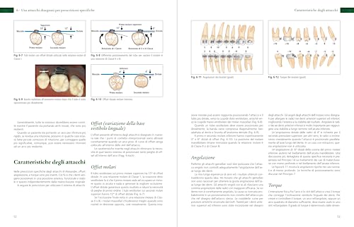 I 20 Principi Della Alexander Discipline - 7