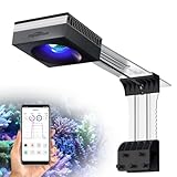 PopBloom RL90 Luz LED para acuarios de arrecife Iluminación LED para acuarios marinos Luz para acuario de arrecife para tanques de coral de agua salada de 60 cm, espectro violeta y azul mejorado