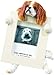 Cavalier King (Brown) Charles Spaniel 2.5" x 3.5" Picture Frame