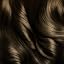 Chestnut Brown