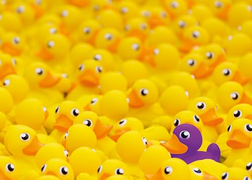 Ravensburger Puzzle 12000587 - Quietscheenten - 1000 Teile Puzzle für...