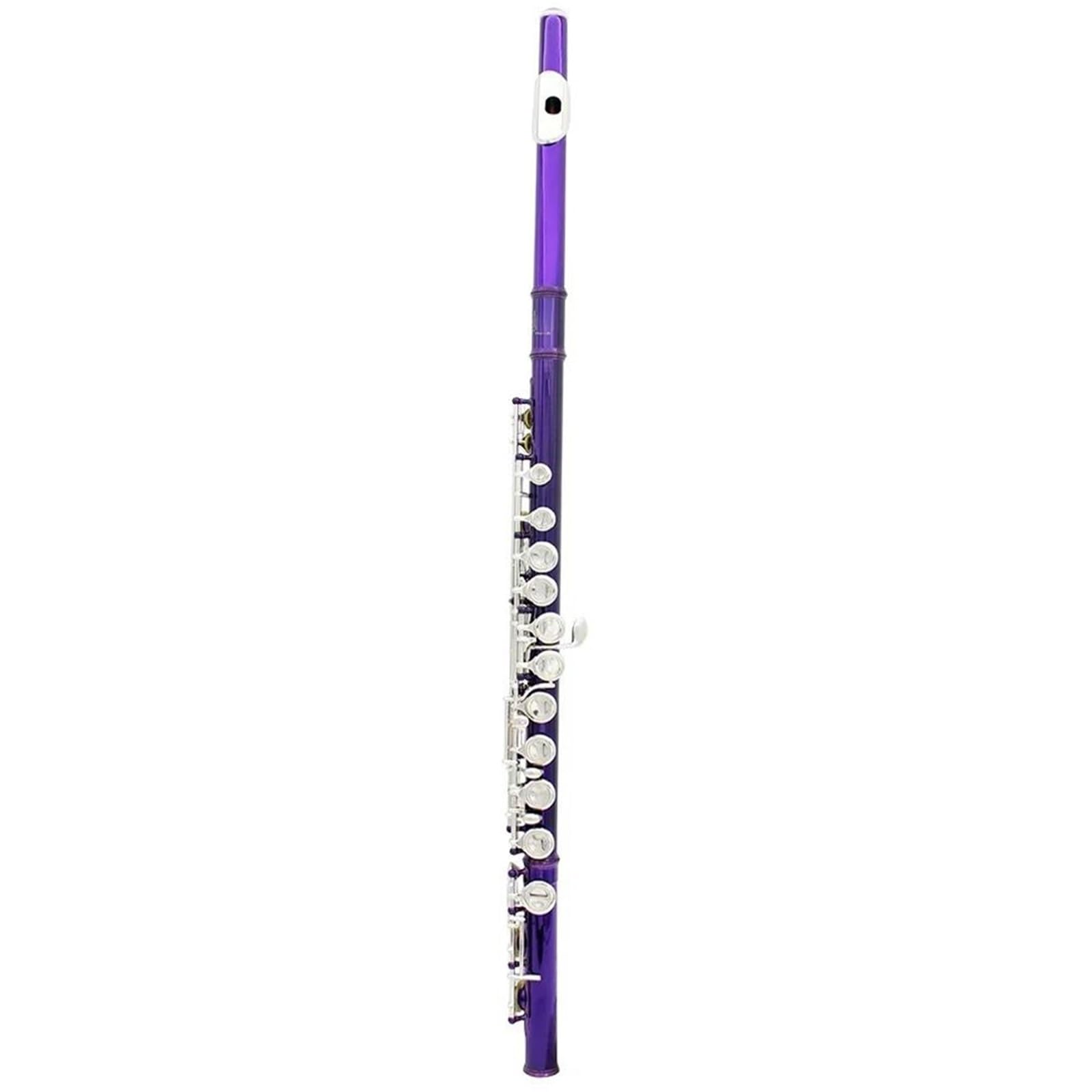 Flûte Performance Professionnelle Flûte À Ton C À 16 Trous Avec Clé E Instrument À Vent Professionnel Violet Clé Fermée Kit De Flûte À Tube En Cupronickel