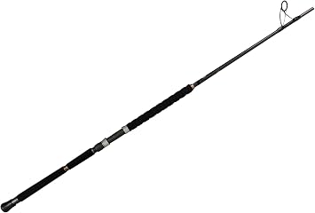 Phenix Rods Megalodon Popping / 76 / 2 PC / 40-100 LB LINE Rating/PE LINE 7-10 / Heavy Taper Action / 70-180 G Lure Weight/Fuji KWSG Guides/Fuji DPSSD-LD Reel SEAT/HIGH Density EVA Handle