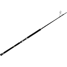 Phenix Rods Megalodon Popping / 76 / 2 PC / 40-100 LB LINE Rating/PE LINE 7-10 / Heavy Taper Action / 70-180 G Lure Weight/Fuji KWSG Guides/Fuji DPSSD-LD Reel SEAT/HIGH Density EVA Handle