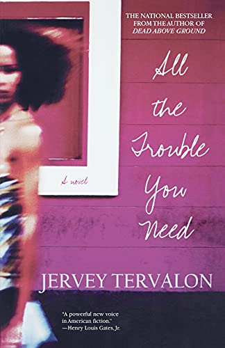 All the Trouble You Need: A Novel