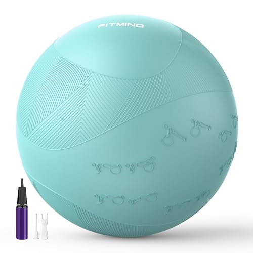Image of Extra Thick Yoga Ball with Training Instruction, Anti-Burst Slip Resistant Exercise Ball with Pump for Pilates,Physical Therapy,Pregnancy Stability,Birthing Ball 22in 26in 30in