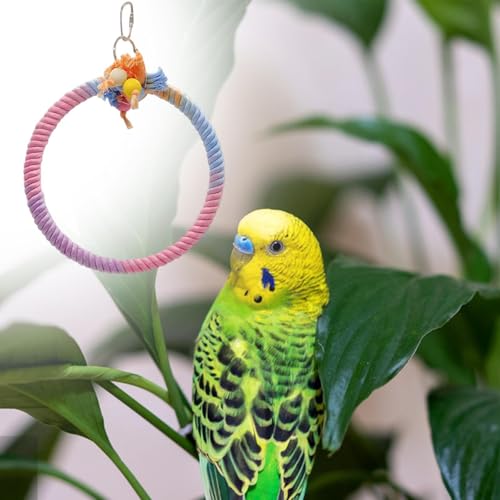 Baoblaze Suporte de balanço para pássaros, brinquedo pendurado, leve, multifuncional, brinquedo de m