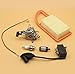 Produktbild Vergaser Zündspule Magneto Modul Luftfilter für Stihl BR500 BR550 BR600 BR 500 550 600 Rucksackgebläse Zama C1Q-S183