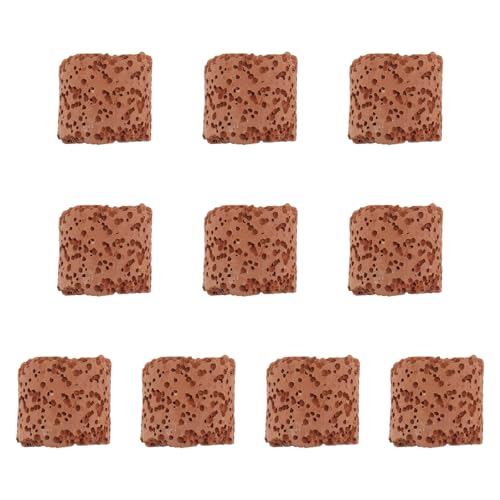 JOINPAYA Anillos de Fijación para Plantas Acuáticas 10 Unidades Tamaño Variable Material Duradero Soporte Práctico para Acuarios y Peceras Adecuado para Fijar Plantas Ambientes