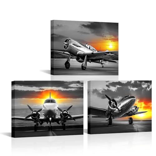 YeiLnm 12x16 Black and White Sunset Aviation