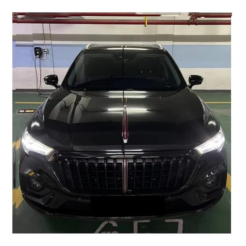 Grille avant de voiture noire protégeant le pare-chocs - 3