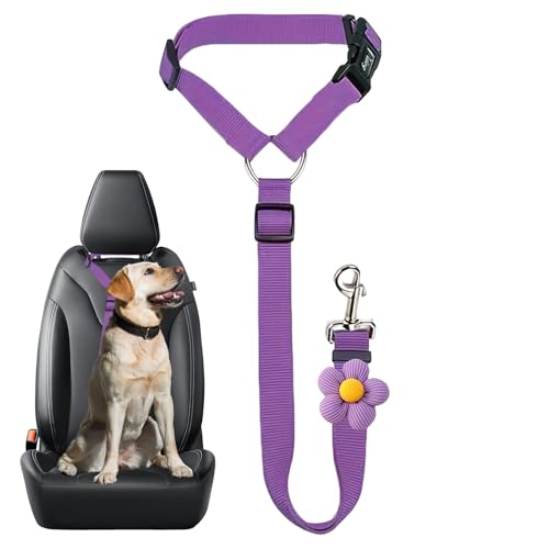 ペットシートベルト - 安全伸縮式ロープ | 大型犬 車用 拘束ストラップ | 子犬 子猫 小型 中型 大型 旅行 通勤 運転 安全保護