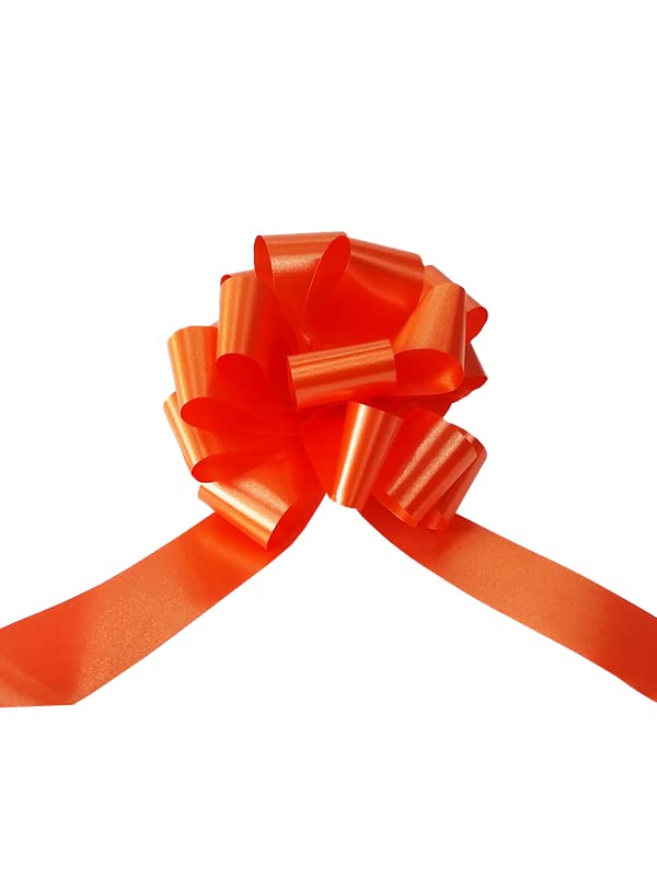 Nastro Coccarda Ecru 31mm - Per Matrimoni, Eventi, Decorazioni Auto - Foto 3