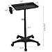 Topeakmart Rolling Salon Tray Aluminum Tattoo Tray on Wheels Adjustable Height Storage Utility Cart, Black