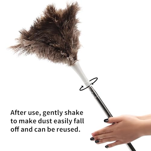 Image of Feather Duster, Ostrich Feather Duster Replacement Head, Reusable Ostrich Feather Duster, Brown (Replacement Head Only)