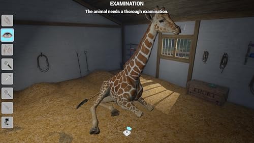 My Vet Practice in the Zoo (PlayStation 5 PS5) Game - Image 5