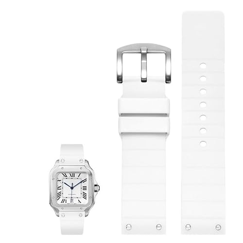 [dayeer] sobNtJeBGp TgX 100 EHb``F[po[EHb`Xgbv(Whit1e)