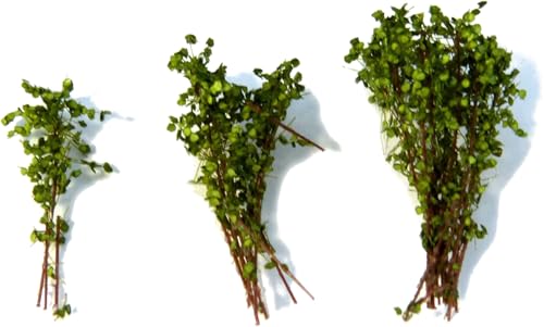 Arbustes hauts vert clair réplique végétale fine pour maquette d'art