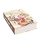 Secret Book Sicher Safe Box Buch-Safe mit Schloss Geldkassette im Wörterbuch Buch-Tresor Verstecktes Buch mit Schlüssel Lock Anti Diebstahl Sicher Secret Box Geldschrank Tresor Aufbewahrungsbox