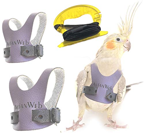 EZ Bird Harness & Leash Specifically Sized for Cockatiels (Personalized Purple Harness w/4 Foot Leash)